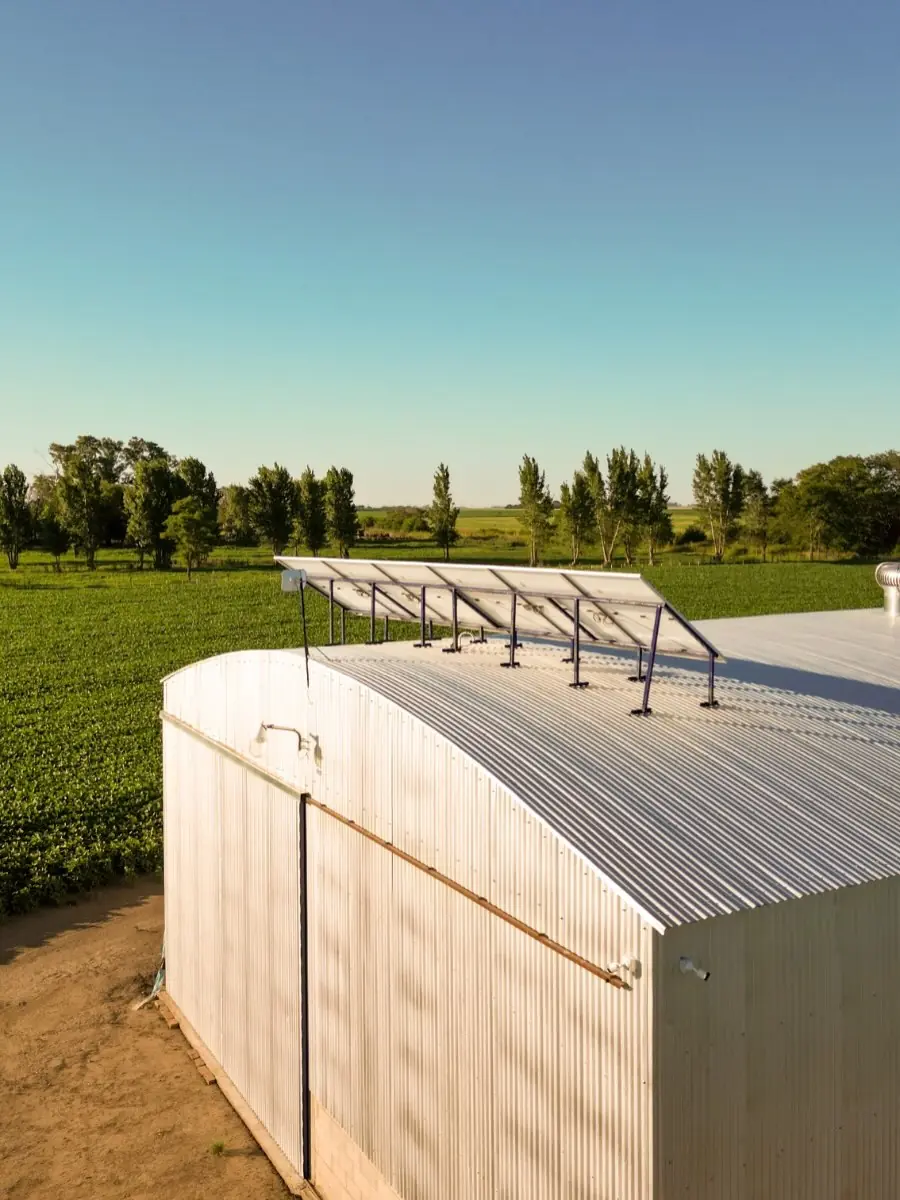 Paneles solares sobre un galpón en un establecimiento rural.